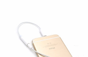 to 3.5mm Headphone Jack Adapter