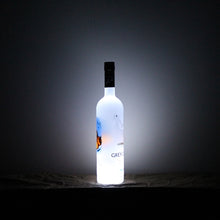 3 PACK of Cool (Liquor) Bottle LED Accent Lights - Illuminate Any Bottle!